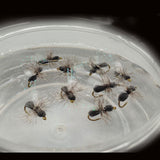 Maxbell 5x Foam Dry Fly Flies with High Carbon Hooks for Men Women Fisherman Anglers