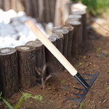 Maxbell Gardening Rake Gardening Tool for Indoor Potted Plants Backyard Garden Beach 6 toothed