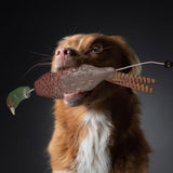 Maxbell Dog Toy Realistic Interactive Outdoor Toy for Farm Yard Pool Garden