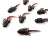 Maxbell 10x Fly Fishing Lures Tadpole Shape Portable Swimbaits for Men Anglers Trout L