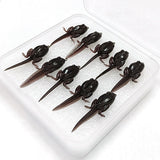 Maxbell 10x Fly Fishing Lures Tadpole Shape Portable Swimbaits for Men Anglers Trout L