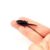 Maxbell 10x Fly Fishing Lures Tadpole Shape Portable Swimbaits for Men Anglers Trout S