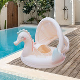 Maxbell Inflatable Pool Float Water Toy for Vacation Beach Party Supplies Water Park Baby with Seat and Canopy
