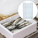 Maxbell Ice Block Lightweight Portable for Coolers Ice Pack for Camping Fishing Home 300g