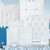 Maxbell Ice Block Lightweight Portable for Coolers Ice Pack for Camping Fishing Home 300g