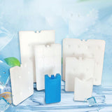 Maxbell Ice Block Lightweight Portable for Coolers Ice Pack for Camping Fishing Home 300g