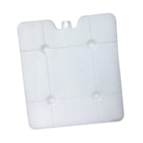 Maxbell Ice Block Lightweight Portable for Coolers Ice Pack for Camping Fishing Home 400g