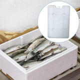 Maxbell Ice Block Lightweight Portable for Coolers Ice Pack for Camping Fishing Home 500g