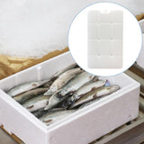 Maxbell Ice Block Lightweight Portable for Coolers Ice Pack for Camping Fishing Home B28 1000g