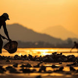 Maxbell Beach Toys Set for Kids Sifter Sand Toys for Girls Adults Gifts for Children