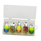 Maxbell 5x Frog Lure Realistic 1" Length Lightweight High Performance Soft Accessory