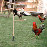 Maxbell Chicken Perch Toy for Coop Toy Chick Perch Stand for Playground Farm Outdoor