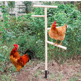 Maxbell Chicken Perch Toy for Coop Toy Chick Perch Stand for Playground Farm Outdoor
