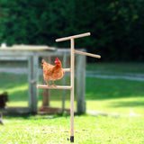 Maxbell Chicken Perch Toy for Coop Toy Chick Perch Stand for Playground Farm Outdoor