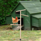 Maxbell Chicken Perch Toy for Coop Toy Chick Perch Stand for Playground Farm Outdoor