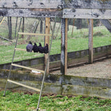 Maxbell Chicken Roosting Ladder Chicken Roosting Bar for Backyard Coop Accessory Hen