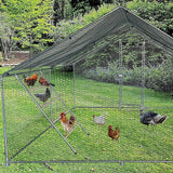 Maxbell Chicken Roosting Ladder Chicken Roosting Bar for Backyard Coop Accessory Hen