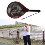 Maxbell Fly Fishing Net Portable Hand Fish Landing Net for Boat Saltwater Freshwater L
