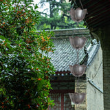 Maxbell Lotus Rain Chain for Gutters Rainwater Catcher Chain for Garden Outdoor Yard Tin Color