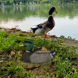 Maxbell Garden Decor Ornament Multipurpose Duck Decoy for Courtyard Backyard Outdoor
