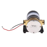 Maxbell Flexible Impeller Water Pump Self Priming , DC24V 30LPM 3meter Head - Aladdin Shoppers