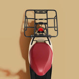 Maxbell Rear Racks Iron Luggage Carrier for Bicycle Delivery Food Bag Household Type A