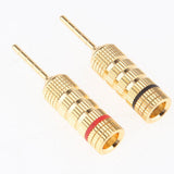 2Pieces 2mm Speaker Wire Pin Plug Banana Connector Screw Lock - Aladdin Shoppers
