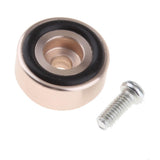 Amplifier Speaker Feet Spikes Mat Fenestrated Pad with 1pcs Screw, 20x10mm, Easily Installed, Gold - Aladdin Shoppers