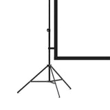 Maxbell Projector Screen with Iron Stand Trendy for Presentations Living Room Travel 120inch Regular 2m