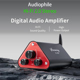 Maxbell Stereo Audio Amplifier EU Plug 50W×2 for Indoor Outdoor Basements Apartments