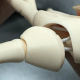 Maxbell 1/3 Jointed Hands SD BJD Unisex Hands Super Dollfie Halloween Making Props