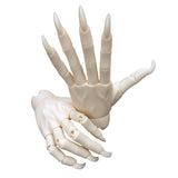 Maxbell 1/3 Jointed Hands SD BJD Unisex Hands Super Dollfie Halloween Making Props