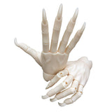 Maxbell 1/3 Jointed Hands SD BJD Unisex Hands Super Dollfie Halloween Making Props