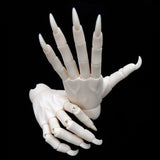 Maxbell 1/3 Jointed Hands SD BJD Unisex Hands Super Dollfie Halloween Making Props