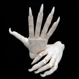 Maxbell 1/3 Jointed Hands SD BJD Unisex Hands Super Dollfie Halloween Making Props