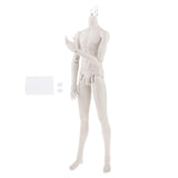 Maxbell Male Doll Nude Body Ball Jointed Model For 1/3 BJD Doll DIY Parts White Skin