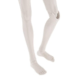 Maxbell Male Doll Nude Body Ball Jointed Model For 1/3 BJD Doll DIY Parts White Skin