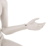 Maxbell Male Doll Nude Body Ball Jointed Model For 1/3 BJD Doll DIY Parts White Skin