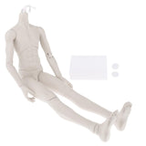 Maxbell Male Doll Nude Body Ball Jointed Model For 1/3 BJD Doll DIY Parts White Skin
