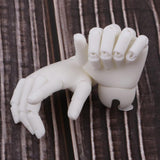 Maxbell 1/4 Doll Hand Model Toy Lifelike Resin Doll Jointed Hand Toy Gift for Christmas Halloween Gift Toy Party Decor, White Skin - Aladdin Shoppers