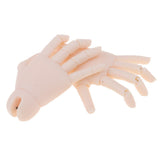 Maxbell 1/4 Doll Jointed Hands For BJD JID MSD Dolls Body Accessories Normal Skin - Aladdin Shoppers
