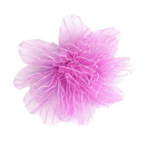 Maxbell Maxbell 10pcs Adorable Flower Hair Clips For Party Favor Hair Decoration Accessories -Rose Red