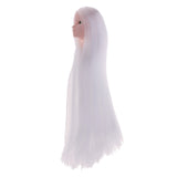 Maxbell Maxbell Doll Head with Long Hair, DIY Accessories For 12inch Dolls, For 1/6 BJD Girl Dolls Body DIY Parts (White Hair)