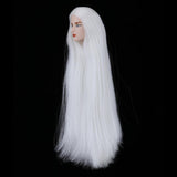 Maxbell 1/6 BJD Male Doll Head Sculpt with White Long Hair Wig DIY Replacement Boy Action Figures Makeup Face - Aladdin Shoppers