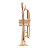 Maxbell 1/12 Scale Golden Metal Trumpet Model Miniature Musical Instrument For Dolls House Decoration - Aladdin Shoppers