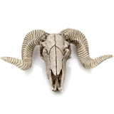 Skull Sheep's Head Wall Sculpture Animal Head Wall Hanging Head Home Decor Head Craft Gift