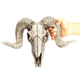 Skull Sheep's Head Wall Sculpture Animal Head Wall Hanging Head Home Decor Head Craft Gift