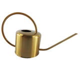 Maxbell 1.3L Metal Watering Can Spout For Plants Flowers Home Decor Great for Watering Home Balcony, Office, Hotel Garden Plants And Flowers - Aladdin Shoppers