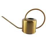 Maxbell 1.3L Metal Watering Can Spout For Plants Flowers Home Decor Great for Watering Home Balcony, Office, Hotel Garden Plants And Flowers - Aladdin Shoppers