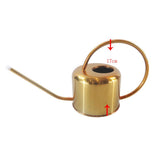 900ml Long Spout Houseplant Watering Pot Stainless Steel Golden Watering Can Home Garden Ornament - Aladdin Shoppers